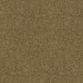 ELAINA 2165 111 : Chamois 111