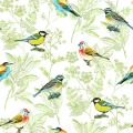 OISEAUX 2205 92 : Mousse 92