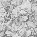 CARRARA 2168 97 : Gris 97