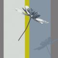 DAPHNEE 314 13 : Azur 13