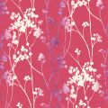 KIMI 125 81 : Framboise 81