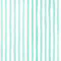 SONG 2116 122 : Menthe 122