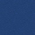 METIS 2162 16 : Gentiane 16