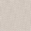 TIM 2206 63 : Beige 63