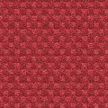 ASKA 2077 21 : Rouge 21