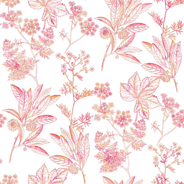 HERBIER
