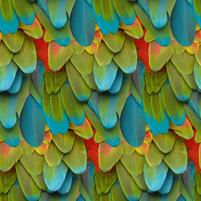 PLUMES