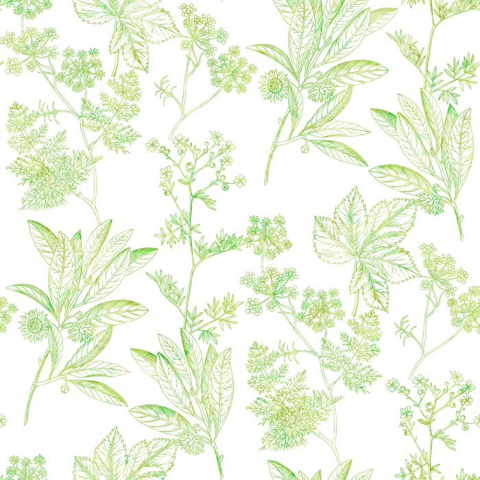 HERBIER