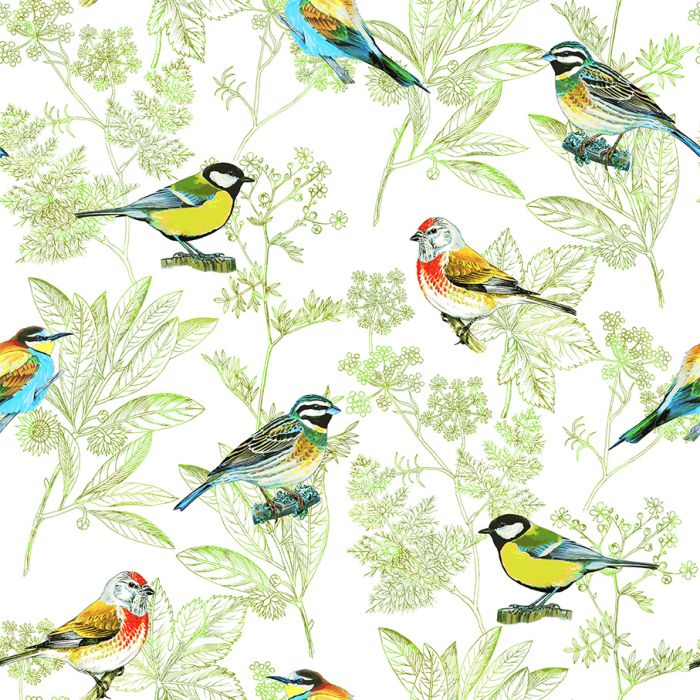 OISEAUX