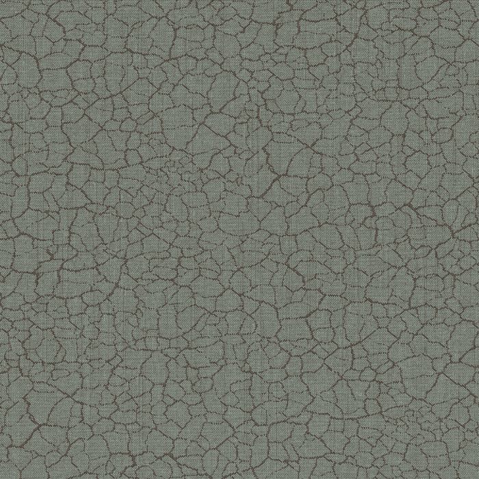 TERRA