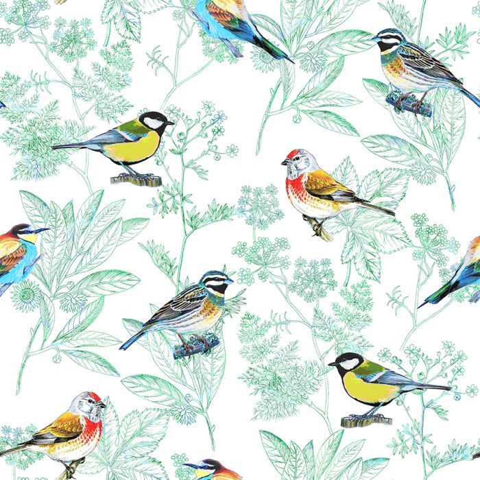 OISEAUX