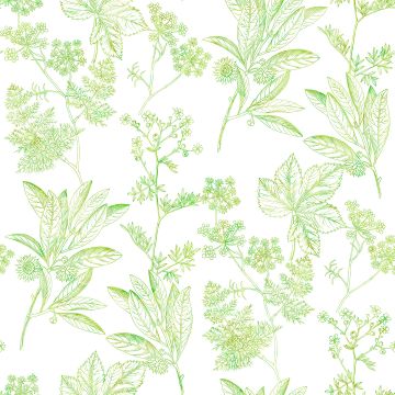 HERBIER