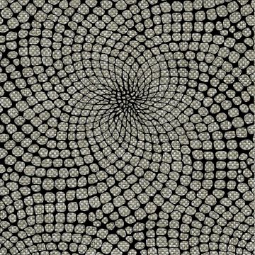 GIRASOL