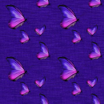 BUTTERFLY