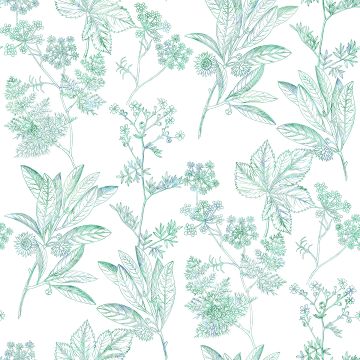 HERBIER
