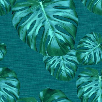 MONSTERA