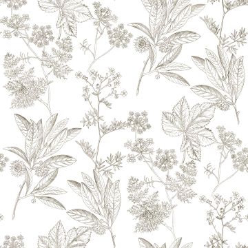 HERBIER